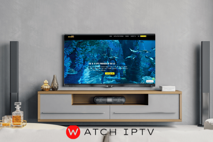  Best IPTV Server viptvplans